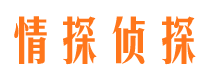 商南市侦探调查公司